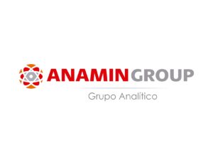 logo-anamingroup-trazado-211_page-0001 (1)